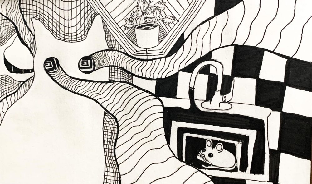 A drawing in black and white that includes a white cat, small line details and checkered patterns including inanimate objects such as a plant, sink, and a toy mouse.