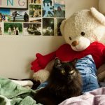 Photo of a black cat on a bed with colorful blankets and pillows, also a large teddy bear and heart behind the cat.