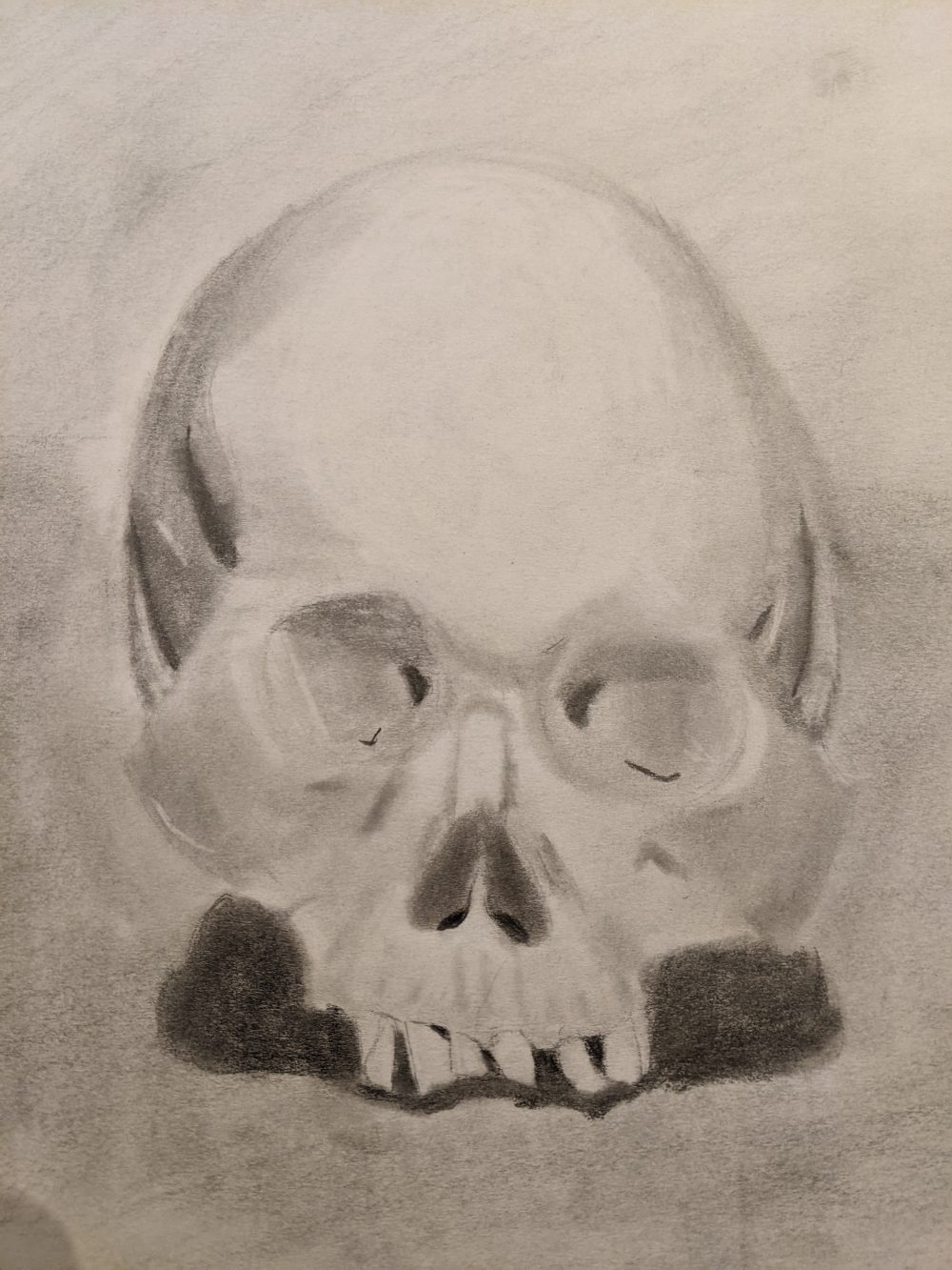 A greyscale drawing of a skull that has seen some better days.