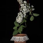 A pot and flowers floating in space, held up by bright red strings.