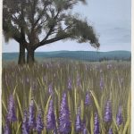 Lonely oak tree in a field of lilac flowers, overseeing hills.