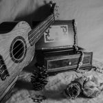 A black and white photograph of objects on a surface: ukulele, pine cone, music box, dry roses, ring, serotonin necklace, butterfly brooch, sand dollar, shell necklace.