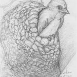 A classic American Swallow faintly looking perturbed as it sits at the edge of its nest, which appears like it is made of small mud balls in a spiral.