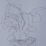 A drawing in black and white of a houseplant on a table, done in ballpoint pen on drawing paper using a blind contour method.