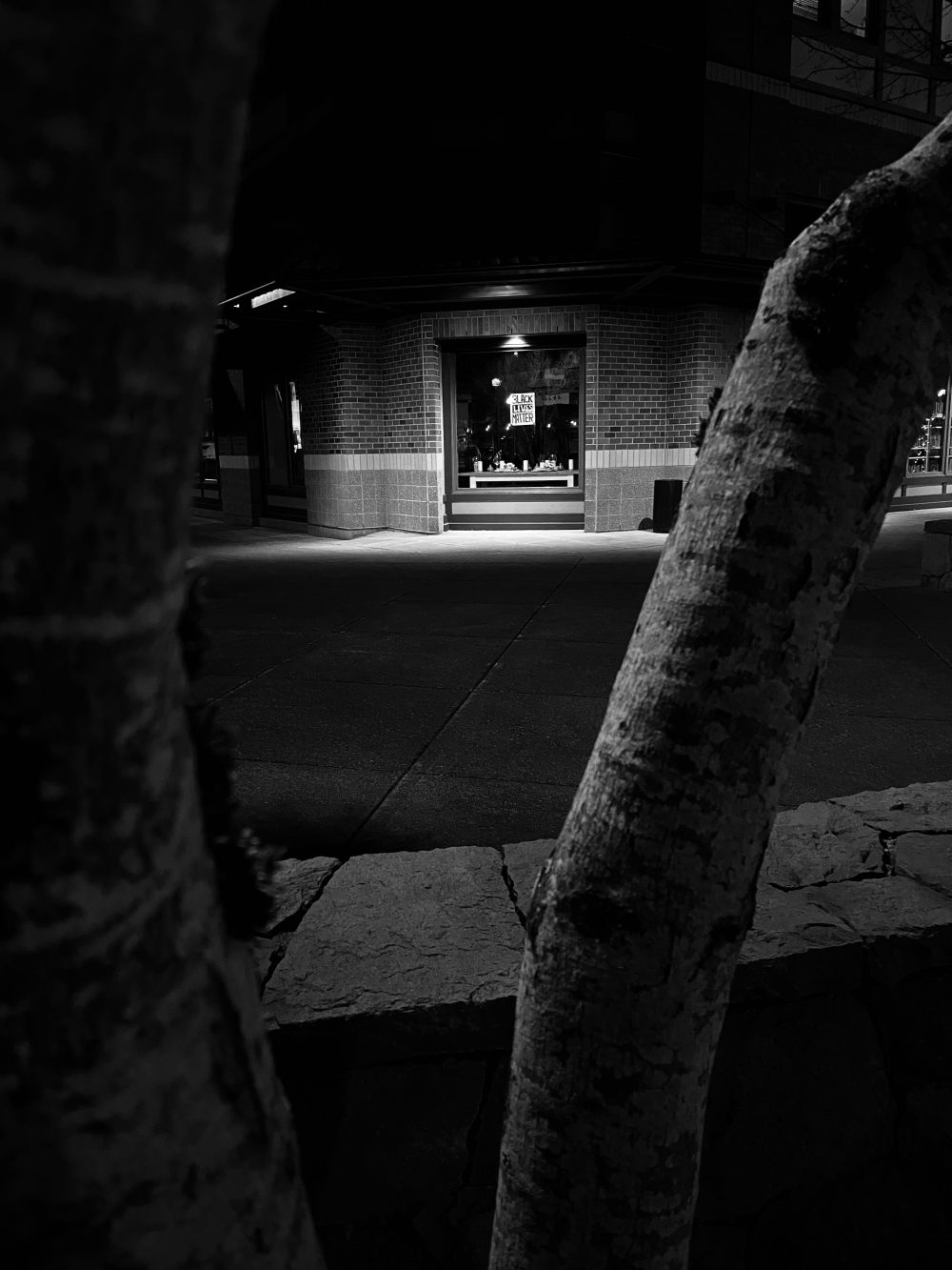 Photo through a couple tree branches of a BLM sign in the window of a brick building.