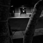 Photo through a couple tree branches of a BLM sign in the window of a brick building.
