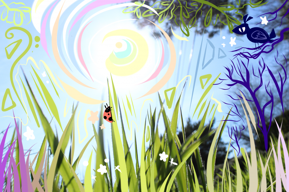 A close up photograph of blades of grass, very bright sunlight in the background, colorful lines and shapes in foreground, and a ladybug and a crow drawn in the foreground.