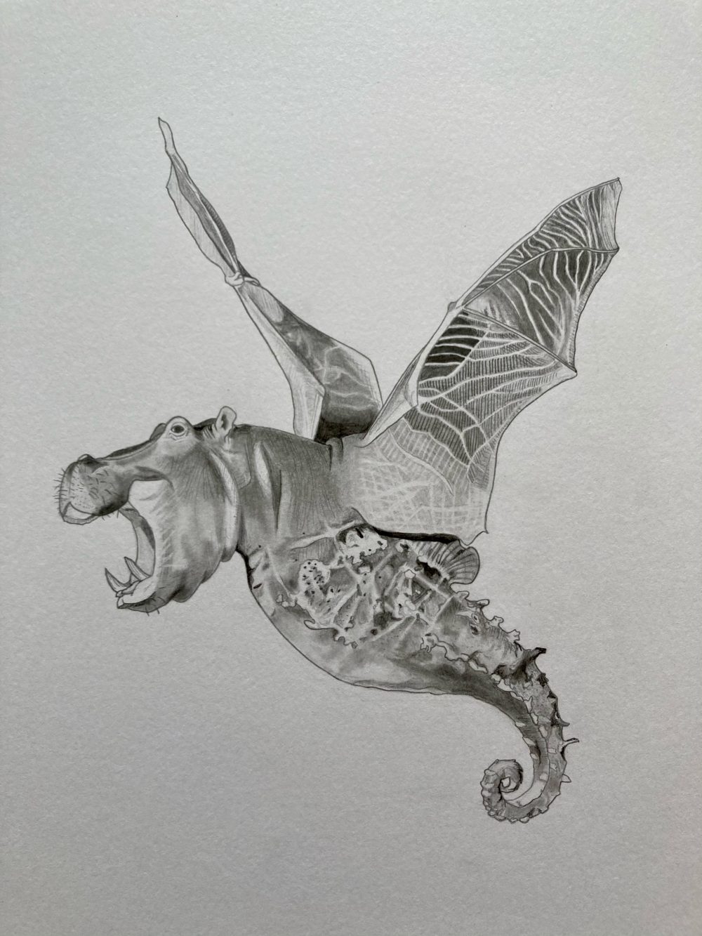 Drawing with graphite pencils of a hippo, bat, and seahorse chimera while in flight.