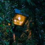 A streetlight hiding in the trees.