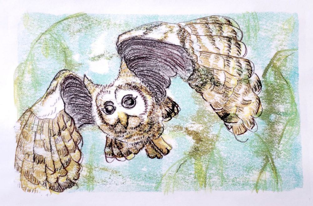 An owl flies through tree branches, looking directly at the viewer.