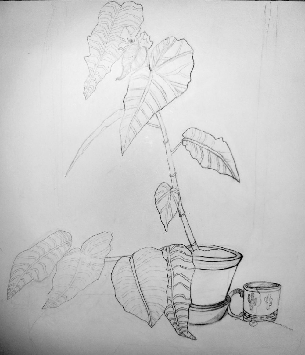 Soft lines depict a strong and tall standing angle wing begonia plant sitting cozy inside a tiny pot. Besides her is a desert western style Las Vegas tea cup keeping her company.