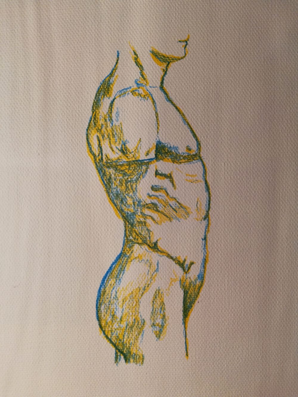 This drawing seems to depict a muscular male torso in fragile pen lines.