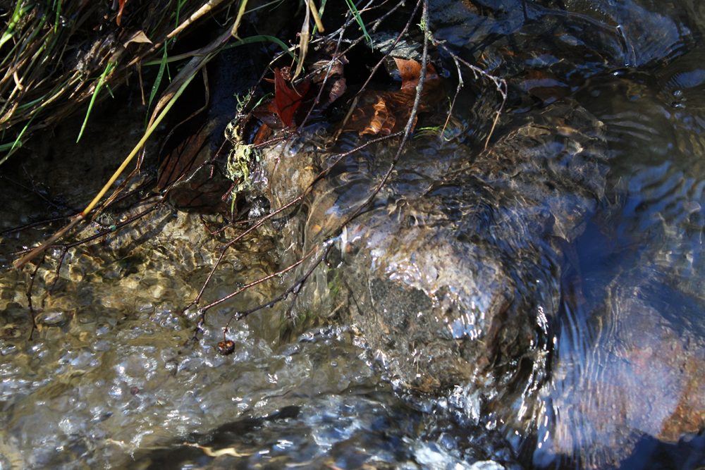 A photo of water flowing through a stream with light reflecting off of it