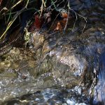 A photo of water flowing through a stream with light reflecting off of it