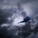 A tree concealed by the night sky.