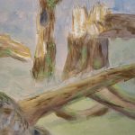 A series of broken trees.