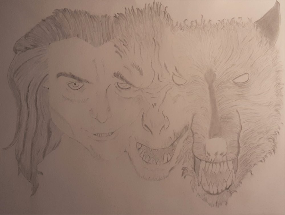 A drawing capturing the stages of werewolf transformation.