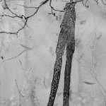 My shadow with my arms and head touching tree branches, causing an illusion that I am tall and thin.