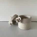 A surprise in every box for your Gems