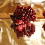 Pomegranate pieces and seeds on a mirror with a golden background.