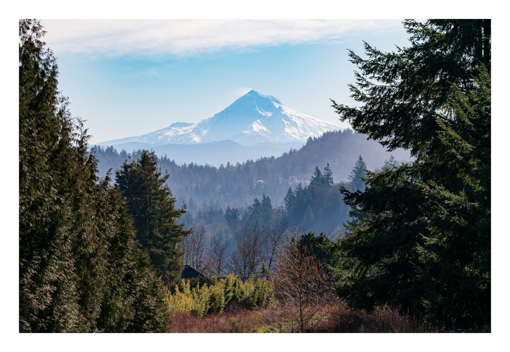 A photograph of a majestic mountain behind sprawling hills leading to a foreground of colorful green trees and bushes.