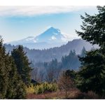 A photograph of a majestic mountain behind sprawling hills leading to a foreground of colorful green trees and bushes.