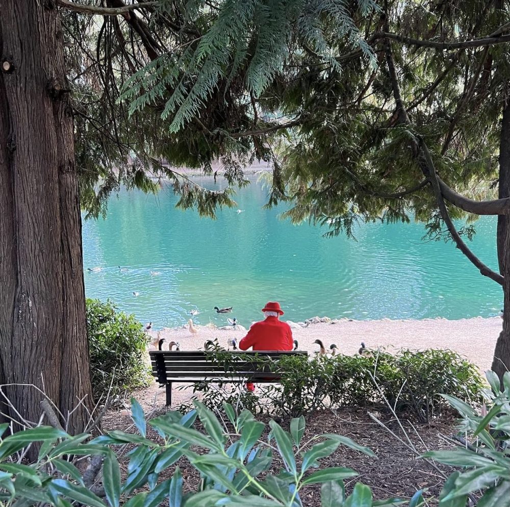 Photograph of an old man wearing all red sitting at a bench feeding ducks at a pond.