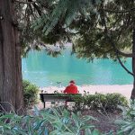 Photograph of an old man wearing all red sitting at a bench feeding ducks at a pond.