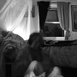 A black and white image of a moving figure sitting in front of a messy bed. A blurry cat is walking in front of the figure.