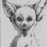 A simple pencil drawing of a fluffy fennec fox, shaded softly.