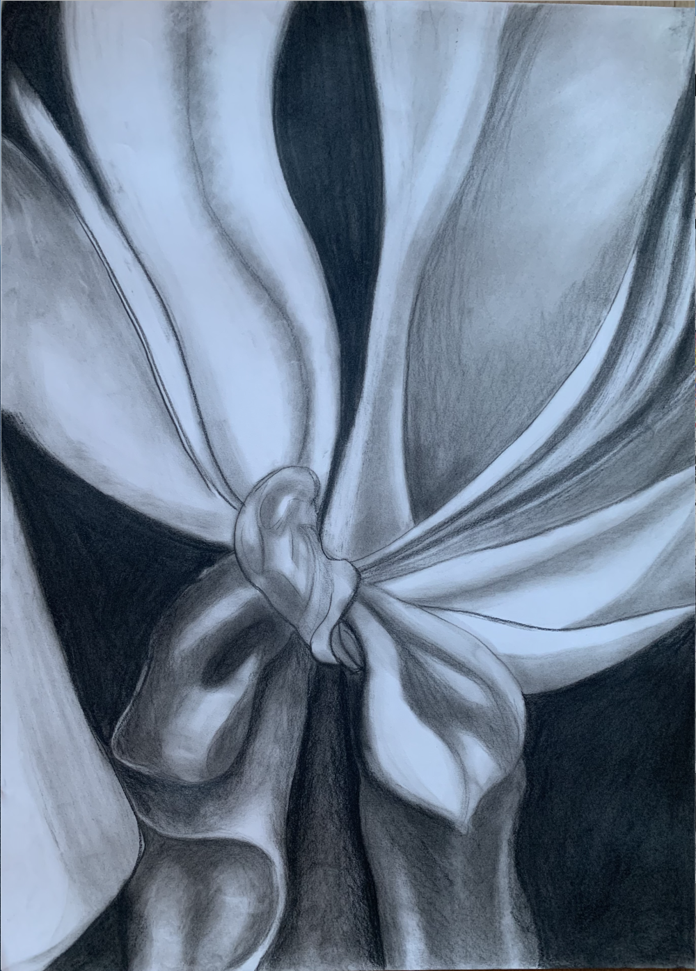 A drawing in black and white of cloth draping downward and tied into a knot in the middle of the page.