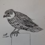 A hawk sitting on a post.