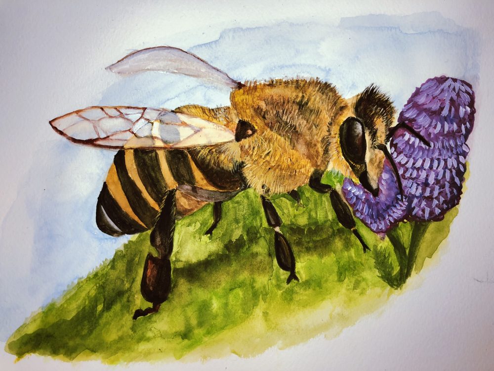 Up close view of a bee who is pollinating purple flowers. There is grass beneath and blue sky behind it.