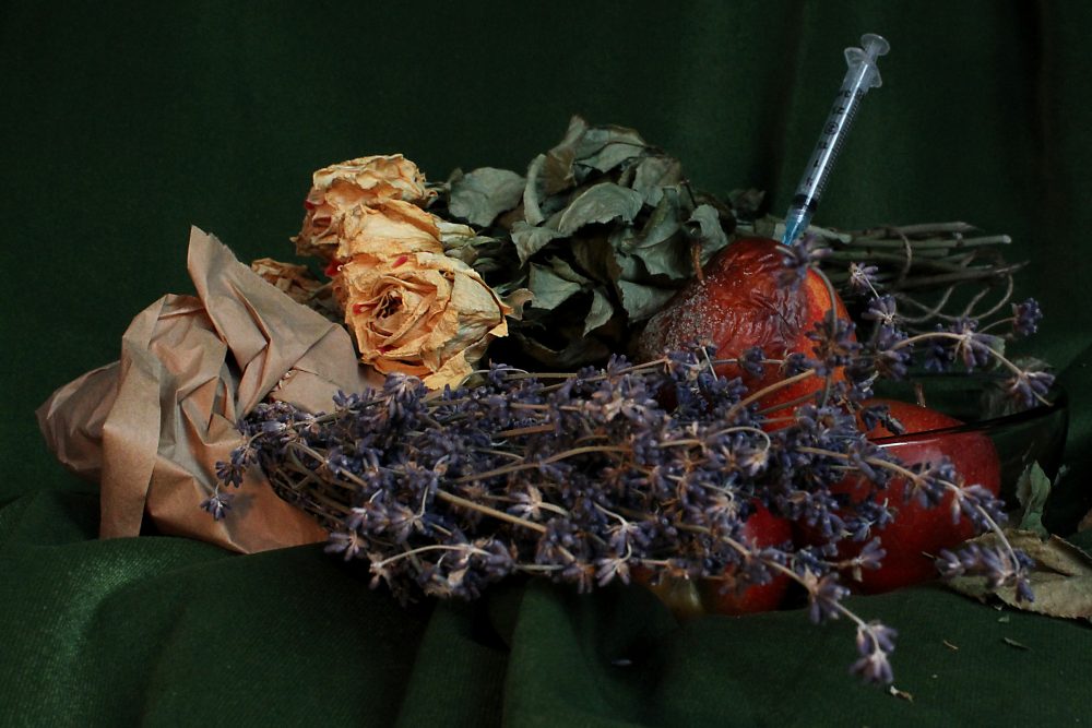 A photograph of dried flowers and rotting apples with a syringe for HRT sticking out of the apple against a green velvet background.