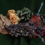A photograph of dried flowers and rotting apples with a syringe for HRT sticking out of the apple against a green velvet background.
