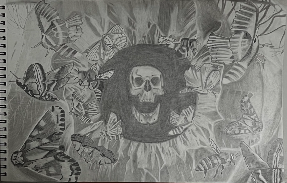 A charcoal drawing of a skull screaming insects inside a human iris.