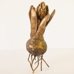 A white background. In the middle is a bronze hyacinth bulb, standing upright on its roots.