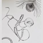 3 pieces of antler on a necklace tangled up in the middle of the page. A rock rests upon the leather piece tying the antlers together. A peacock feather comes down from the upper right corner. A wooden bracelet comes up from the lower left hand corner.