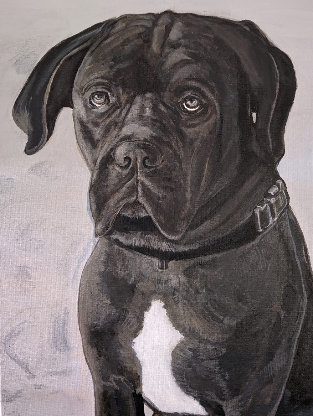 Mixed black and white painting of an Italian mastiff.