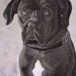 Mixed black and white painting of an Italian mastiff.