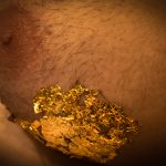 Macro photo of one side of a man's chest, profile view of the nipple, areola, and chest hair, with gold leaf flakes on the underside of the man's breast tissue.