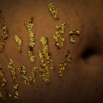 Macro photo of a stomach taken from the side, stretch marks are covered in gold leaf flakes.