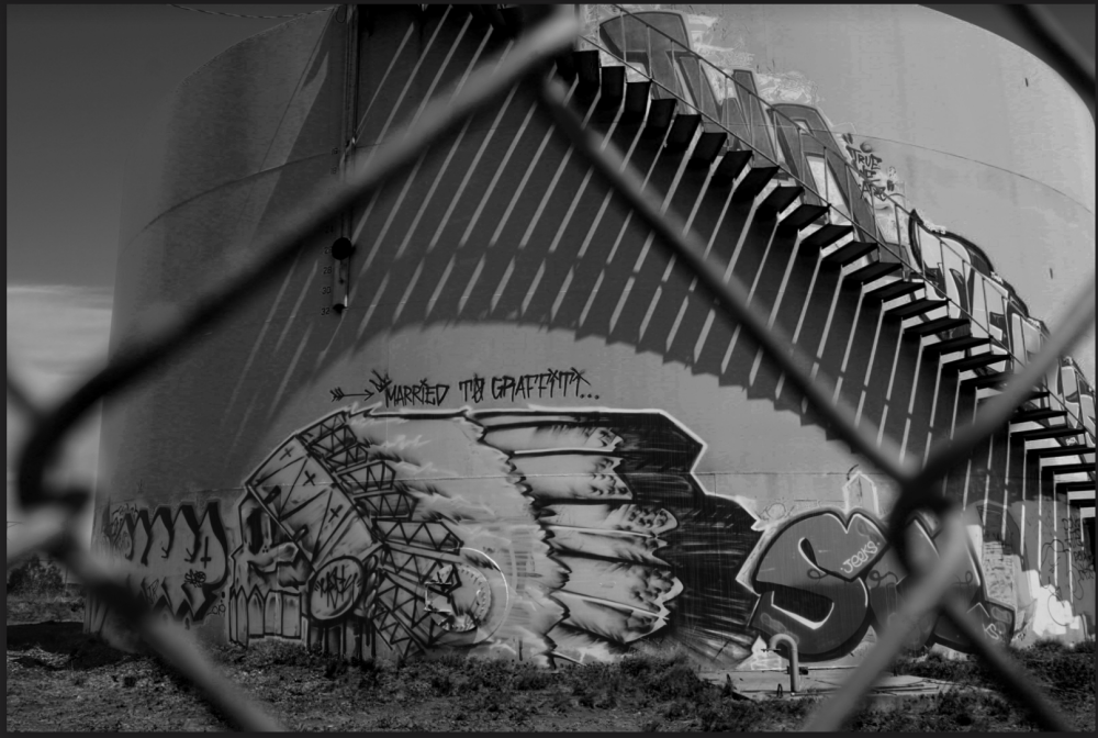 A photograph of a fence, and hidden behind the fence is a structure filled with graffiti.