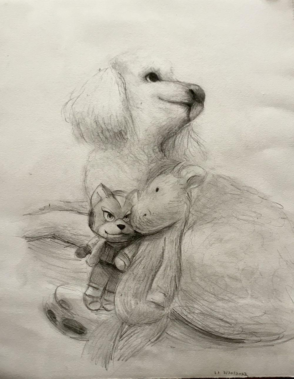 A drawing in black and white of a dog in profile looking at a person off the right of the image.