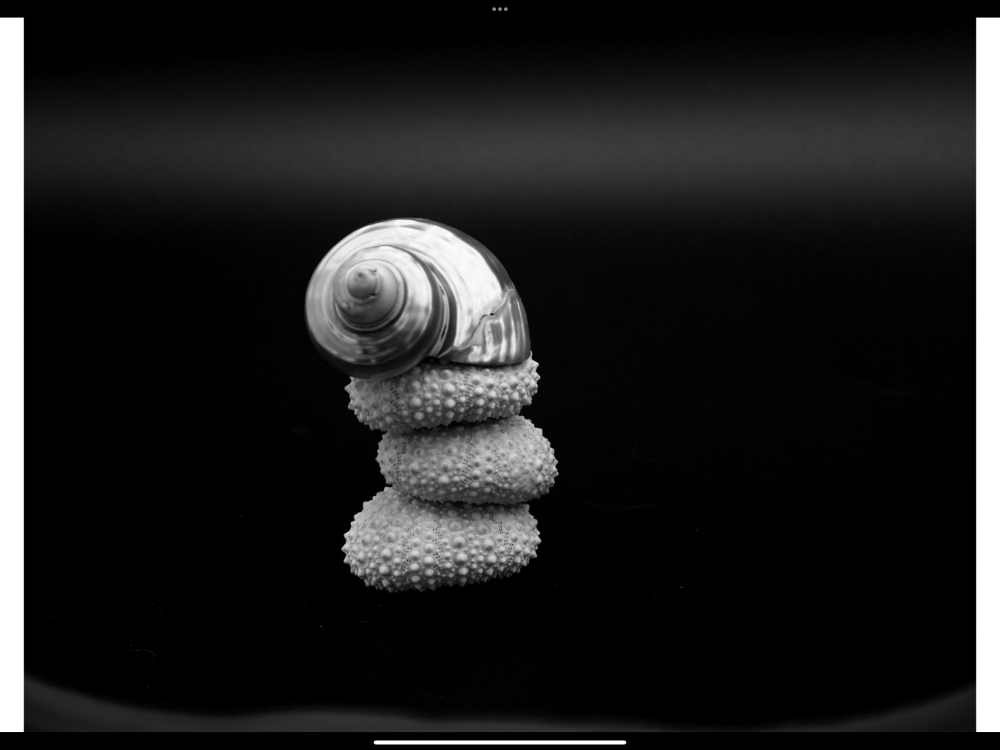 A black and white photo of three shells sitting on top of each-other.