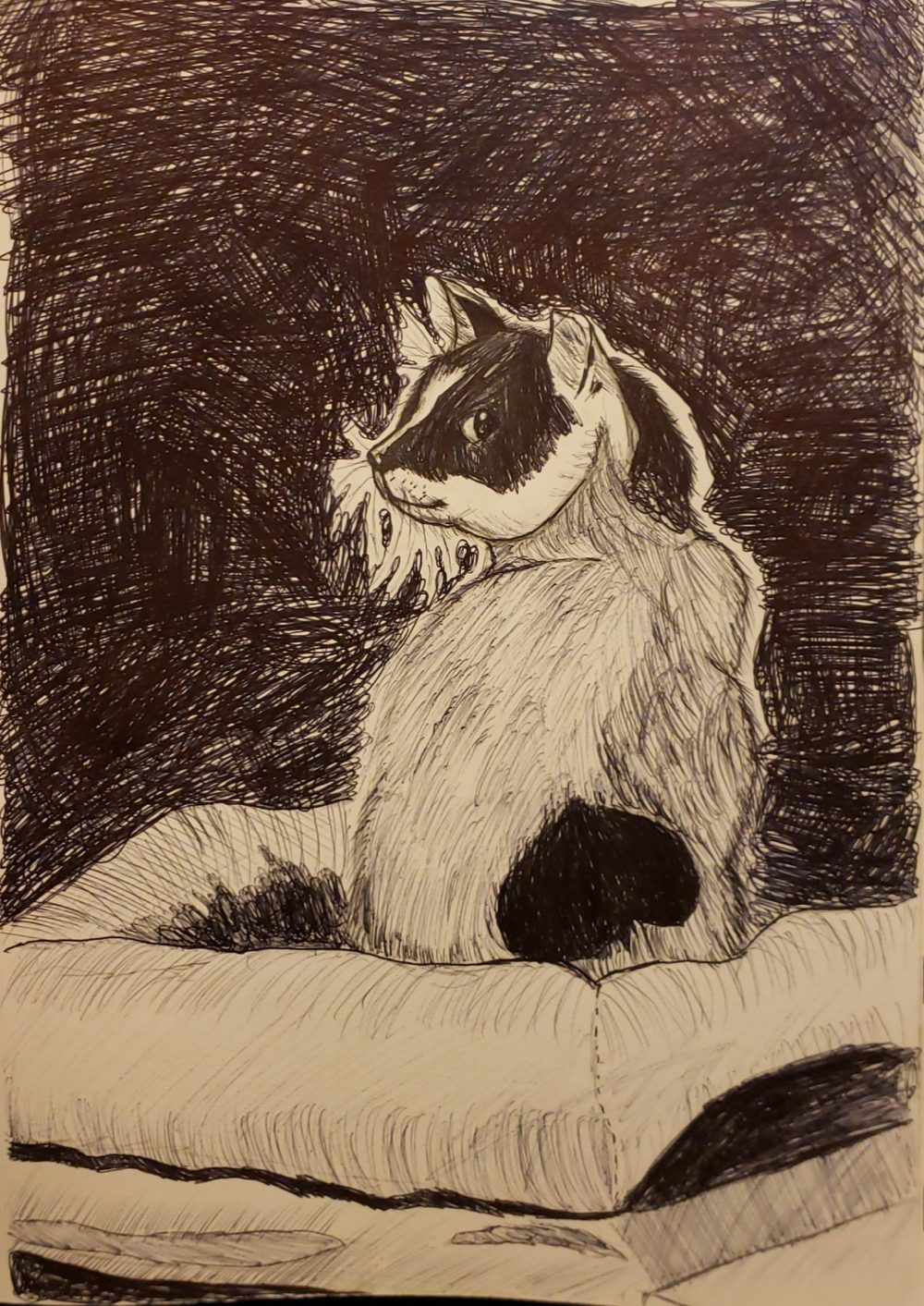 A black and white drawing of a cat sitting on a surface with a black background.
