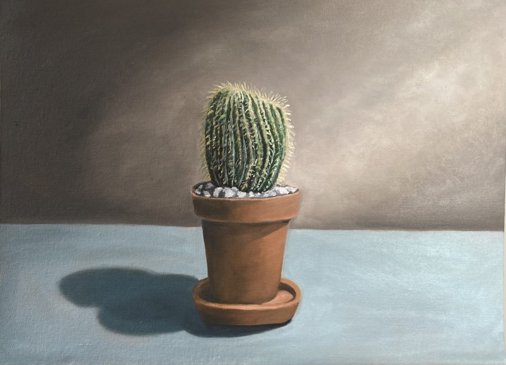 A simple cactus in a terracotta pot is resting on a blue table with a gray background.