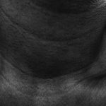 Self-portrait depicting the lines about my neck and collar bone inspired by Buddhist Thangka iconography.