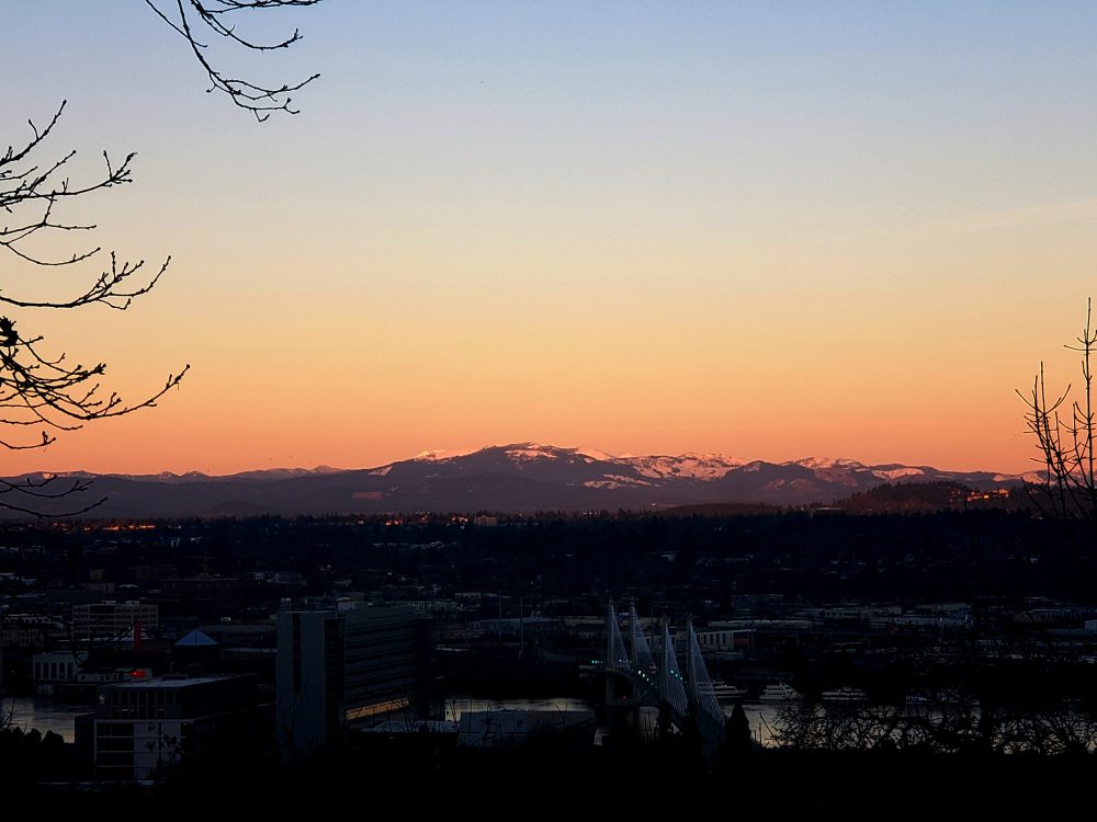 Picture looking east over the Tilikum Crossing Bridge towards the mountains.