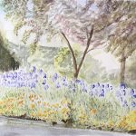 There is a view across the street of a corner and a bit of a crosswalk with the sidewalk hidden by a thick mass of blue iris and yellow-orange poppies; above them the plum trees have already dropped their blossoms and have green-bronze leaves moving in the breeze.